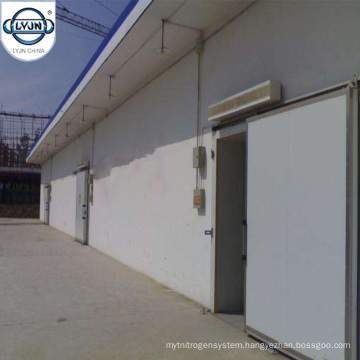 CACR-14 New Design PU Panel Controlled Atmosphere Cold Room Storage Room Freezer Room with Great Price